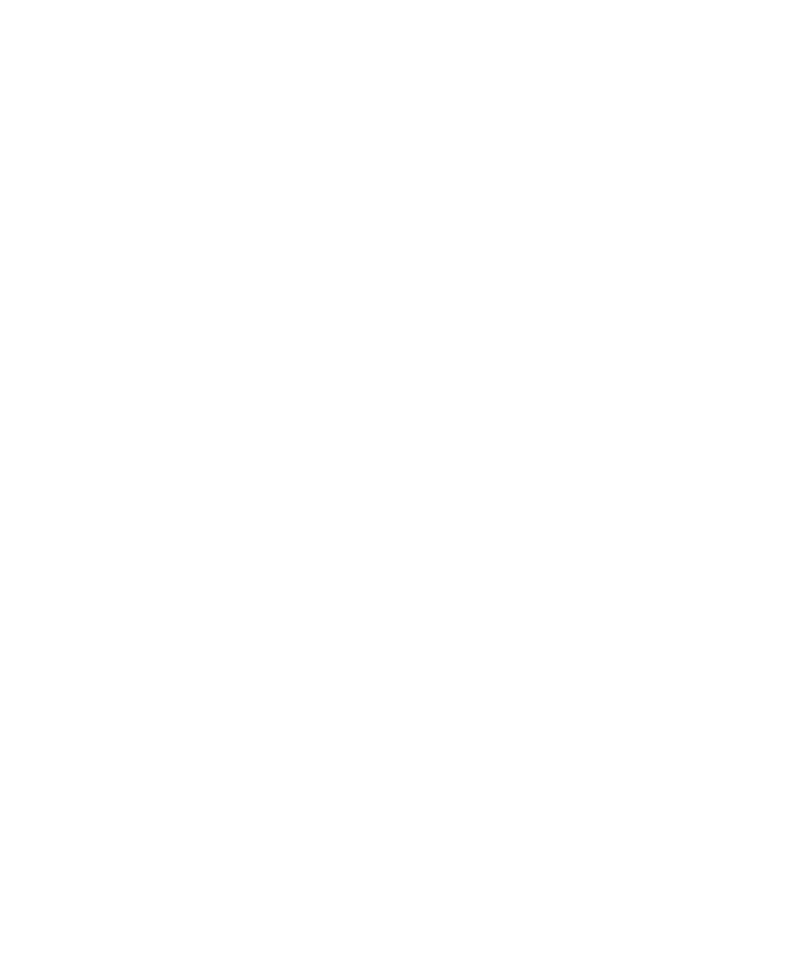 Steinert Medication white logo